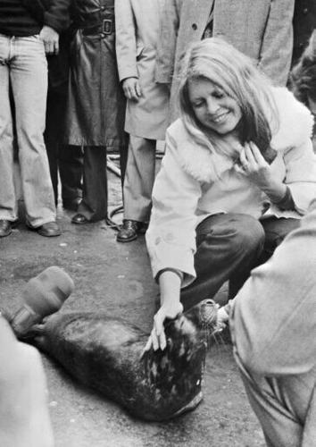 Animal rights crusade: Bardot set up a foundation dedicated to animal protection in 1986