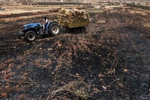 UN warns of Gaza famine risk, as Israel vows to build 'Jewish state' in West Bank