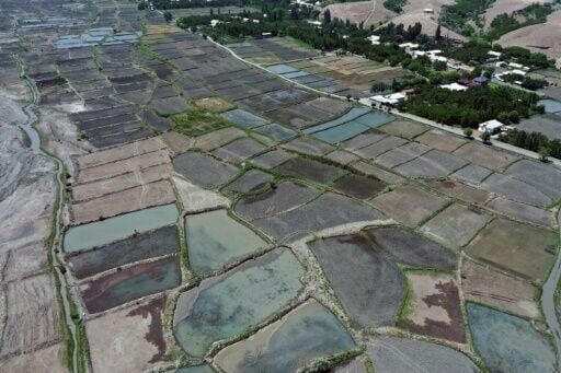 Houses made from rice: Kyrgyzstan's eco-friendly revolution