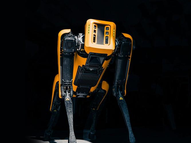 Robot dog called in to do job too dangerous for humans