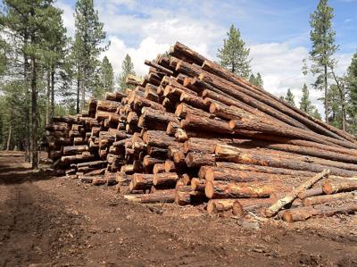 Logging stock