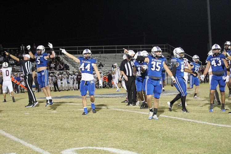 Demopolis gets turnover.jpg