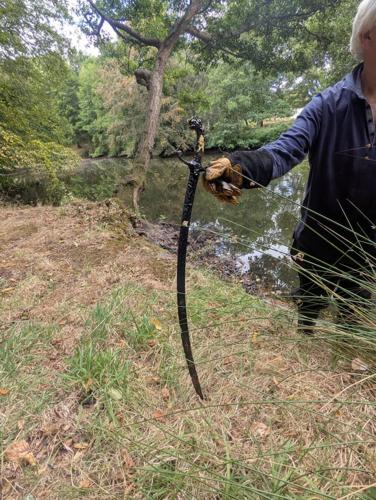 Centuries-old ‘Excalibur’ sword emerges from lake after water levels plummet