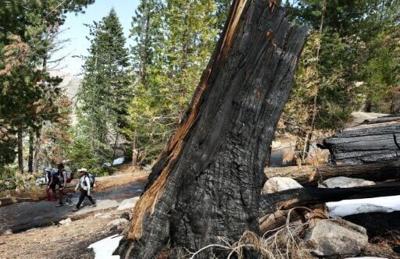 US power company to pay $82.5m for California wildfire