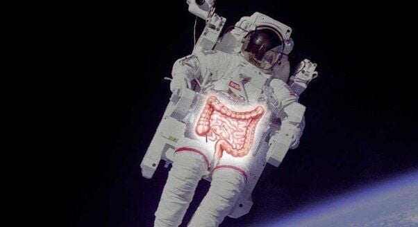 Astronauts may be able to avoid tummy troubles in space thanks to new research