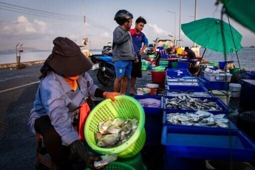 Fishers in Thailand benefit from tax-exempt diesel, which cost less than 20 baht per litre before the war broke out but now costs 35 baht and is harder to find