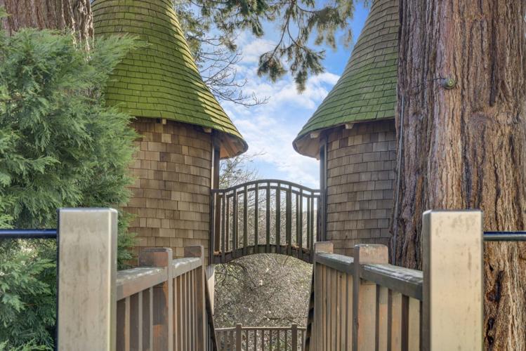 Sprawling £4.95m country estate with hidden castle-like treehouse is kids’ paradise