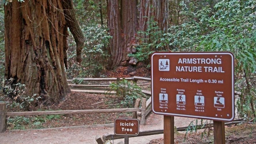 Armstrong Redwoods State Natural Reserve Accessible Trail
