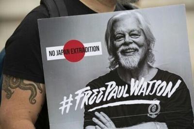 Anti-whaling campaigner Paul Watson arrives in France