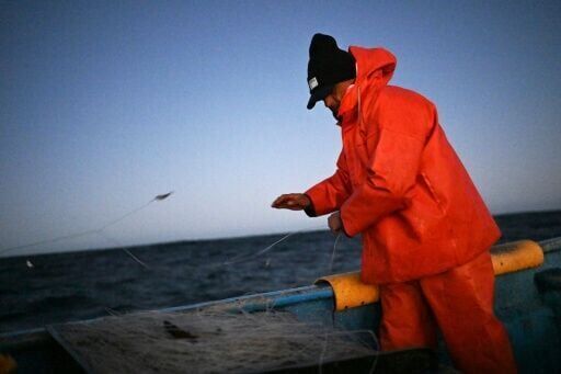 Missing merluza: Chile's battle to save its favorite catch