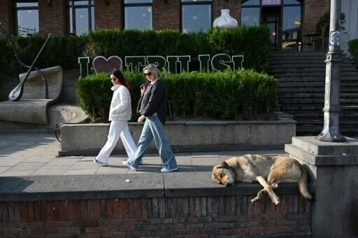 Volunteers continue to juggle feeding, sheltering and basic care