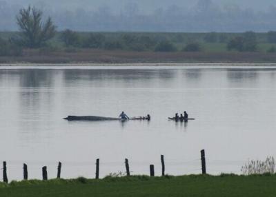 Rescuers try to help a stranded humpback whale off the Baltic Sea coast near the island of Poel, near Wismar, northern Germany, on April 16, 2026