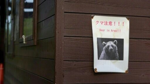 Japan sends troops to region hit by deadly bear attacks