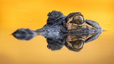 Winners of the 2023 Outdoor Alabama Photo Contest announced