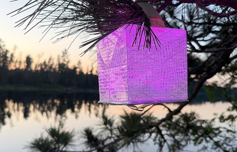 purple solar lantern