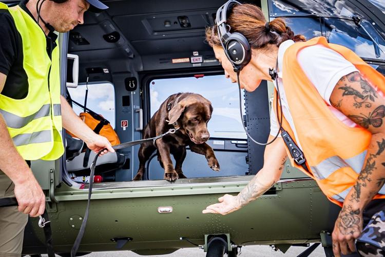 Rescue dogs overcome fear of helicopters during vital training