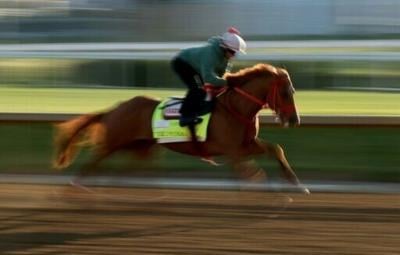 The Puma was scratched from the 152nd Kentucky Derby at Churchill Downs due to leg swelling from a skin infection