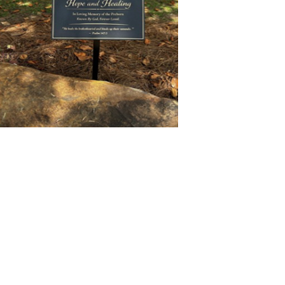 Ribbon cutting to be held for garden at Safe Harbor Women's Medical Clinic in Selma