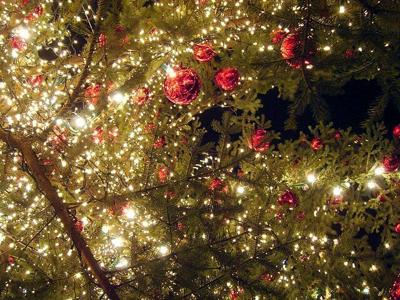 Wilcox Central High School to perform Christmas concert on Dec. 14