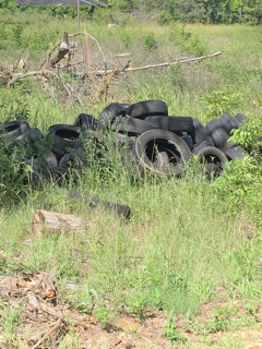 Roadside tires