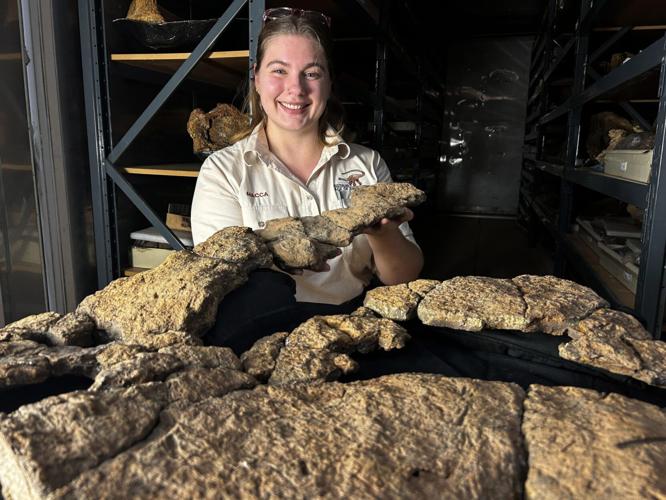 Long-necked dinosaurs didn’t bother chewing, suggests new research