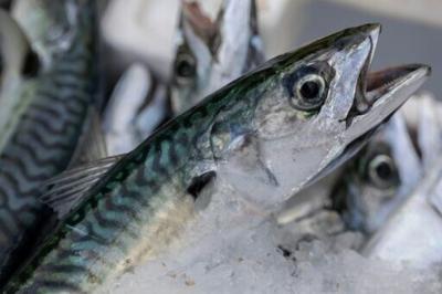 British supermarket chain Waitrose says it will stop selling mackerel in protest at over-fishing