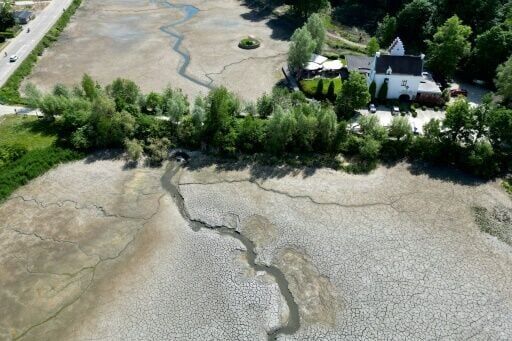 Fears for crops as drought hits northern Europe