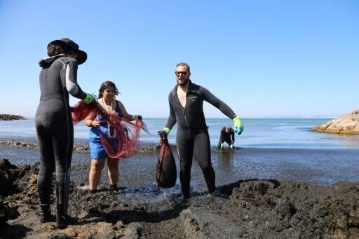 Pacific algae invade Algeria beaches, pushing humans and fish away