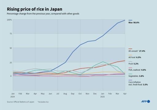 Rice prices Japan's hot political issue, on and off the farm