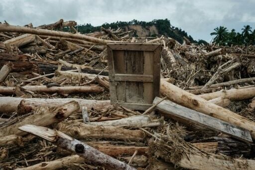 Uprooted trees swept away by flash floods have ravaged homes and businesses in Indonesia's Pengidam village