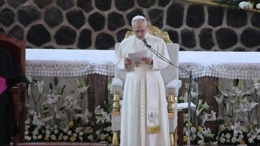 Pope condemns 'endless cycle of destabilisation and death' in Cameroon region