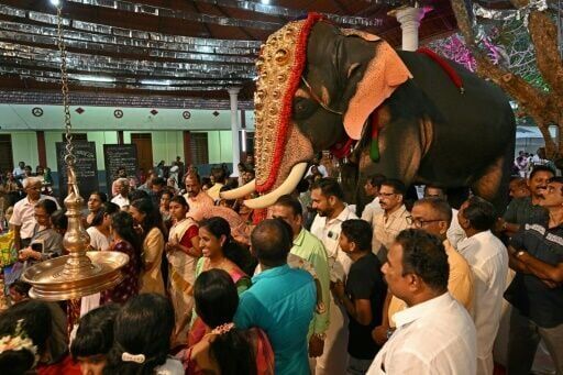 Model behaviour: India's anti-cruelty robot elephants