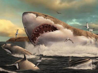 New research reveals mighty megalodon’s massive appetite