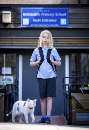 Cat follows ten-year-old owner to school and back every day