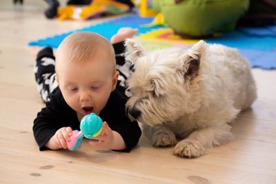 Fido Might Protect Your Baby Against Eczema