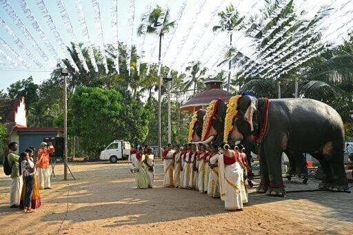 Model behaviour: India's anti-cruelty robot elephants