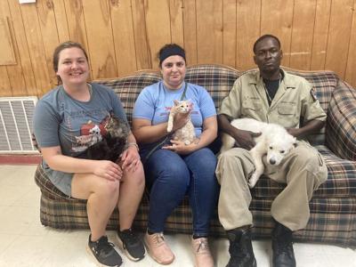 'Best Friends' come to help Selma Animal Shelter