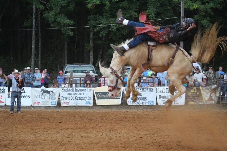 Marion Rodeo 2024 bronc riding