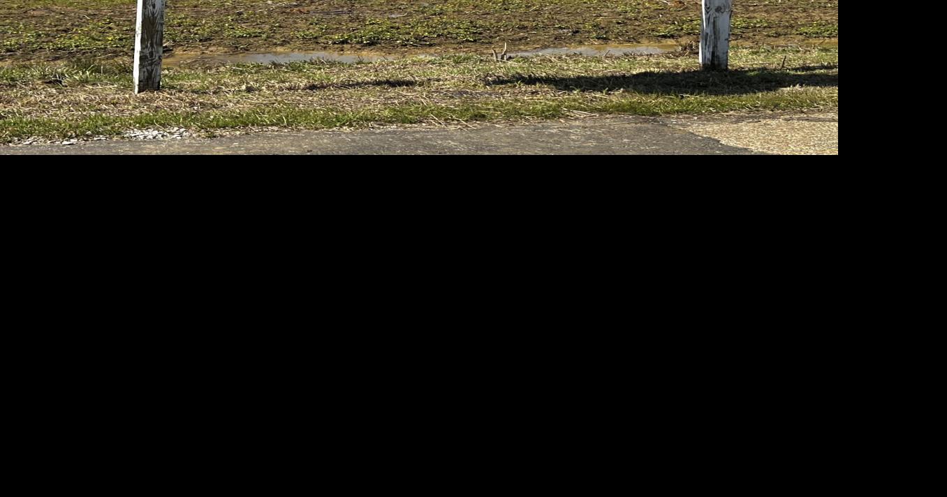 Perry County Airport leaders eye economic growth at Vaiden Field News