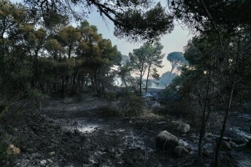 France wildfire shuts down Marseille airport, halts trains