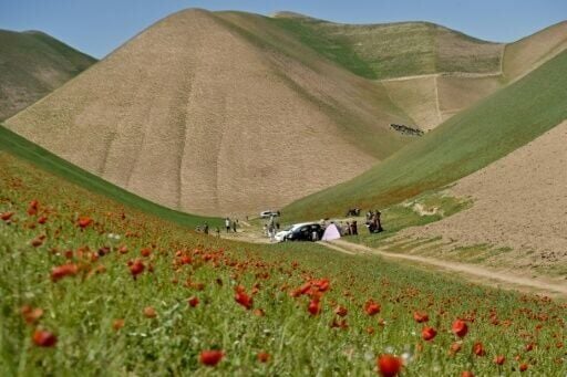 Families flocked to the valleys of the Shirin Tagab district, near the border with Turkmenistan, to be among thousands of flowers that appeared after abundant rain