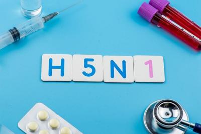 Bird Flu Virus May Survive Aging Process in Raw Milk Cheese