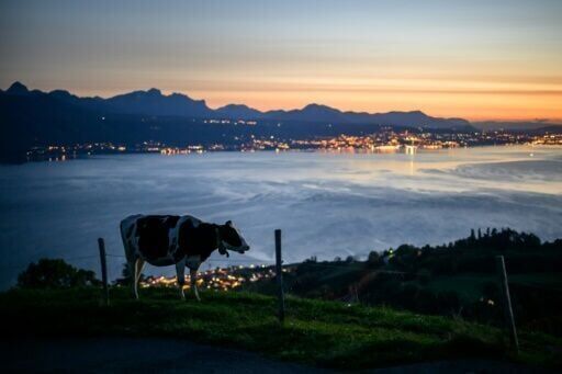 EU, Swiss hail 'historic' new deal resetting relations