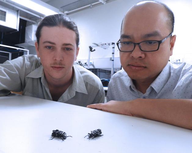 Bugs with backpacks could help find disaster victims