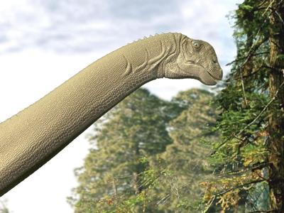 Fossilized stomach reveals long-necked dino dining secrets