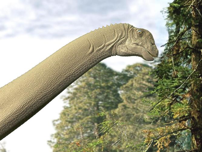 Fossilized stomach reveals long-necked dino dining secrets