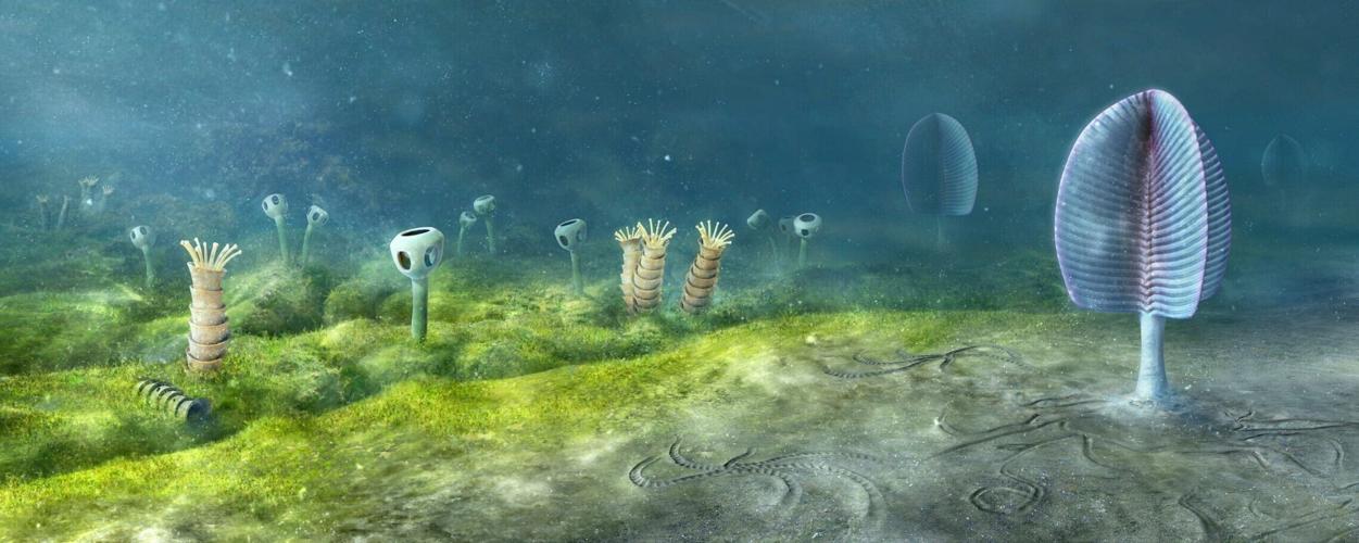 Animals may have evolved 200 million years earlier than fossil evidence suggests