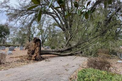New Live Oak Cemetery to open for Mother's Day