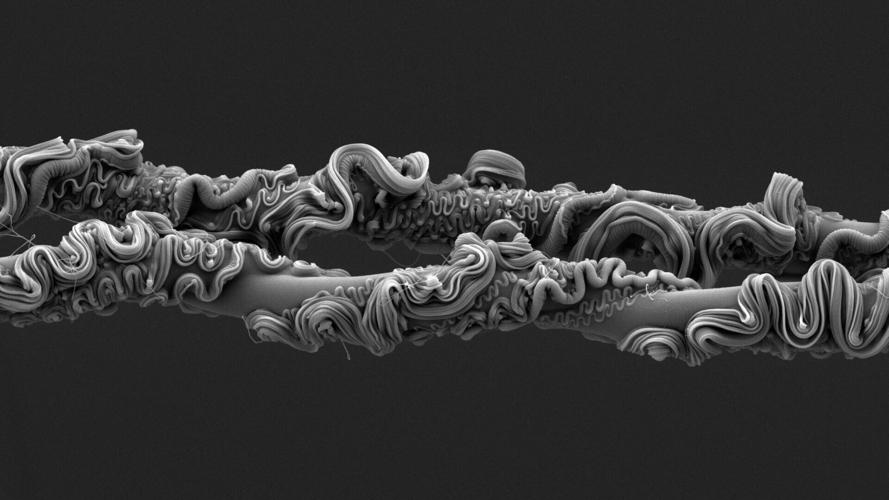 Spider silk thread close-up wins Royal Society Publishing Photography Competition