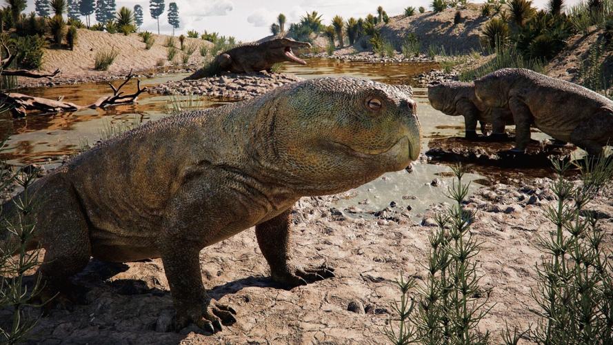 Parrot-beaked beast that lived with dinosaurs in Brazil may have Scottish relatives